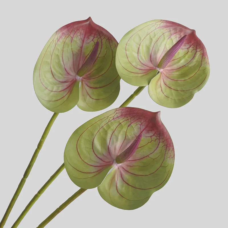 Simulated Flower Living Room H - 3D Printing Ai ulasan dan harga
