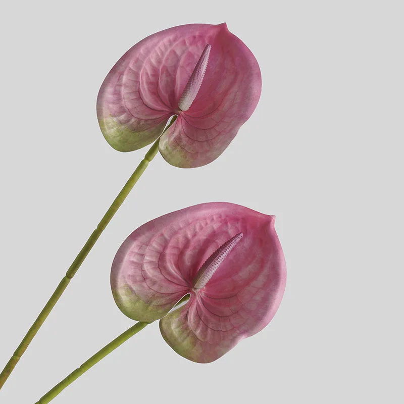 Simulated Flower Living Room H - 3D Printing Ai ulasan dan harga